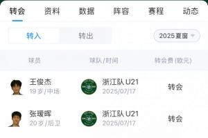 浙江隊夏窗匯總：200萬歐簽米特里策、租借卡列洛，埃弗拉離隊