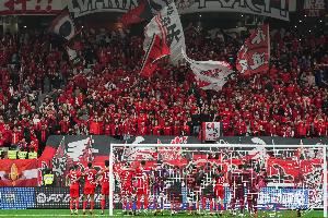 東體：海港方面對俱樂部吉祥物暫未回應，但大家有所共鳴