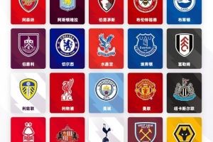 英超轉(zhuǎn)會觀察：金元狂潮背后套路多，階層分化引人矚目