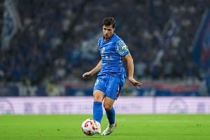 疑似吐口水！大連英博球迷呼吁俱樂部上訴申花外援特謝拉