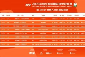 中甲第29輪裁判：邢琦吹重慶銅梁龍vs蘇州東吳，5場比賽設有VAR